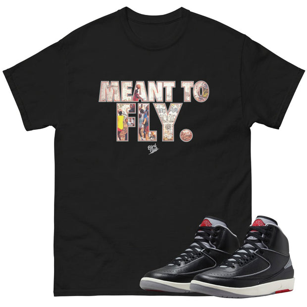 RETRO 2 BLACK CEMENT FLY SHIRT - Sneaker Tees to match Air Jordan Sneakers