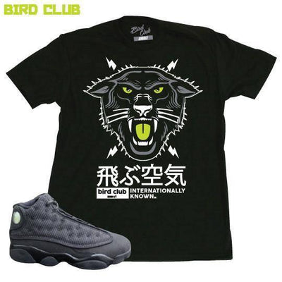 Air Jordan 13 shirt - Sneaker Tees to match Air Jordan Sneakers