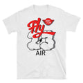 Air Jordan 3 Katrina Hall Of Fame tee - Sneaker Tees to match Air Jordan Sneakers