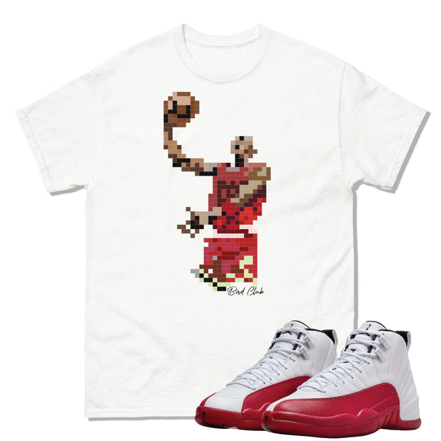 Retro 12 Cherry Air Pixel Shirt - Sneaker Tees to match Air Jordan Sneakers