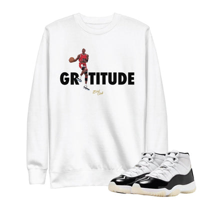 Retro 11 "Gratitude" Gratitude Hoodie - Sneaker Tees to match Air Jordan Sneakers