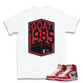 Retro 1 "Lost & Found" Shirt - Sneaker Tees to match Air Jordan Sneakers