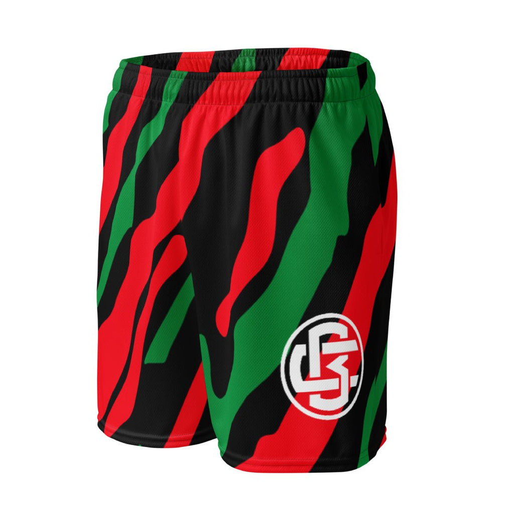 TRIBE Basketball Mesh Shorts - Sneaker Tees to match Air Jordan Sneakers