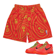 Reverse Grinch Protro Paisley Basketball Mesh Shorts - Sneaker Tees to match Air Jordan Sneakers