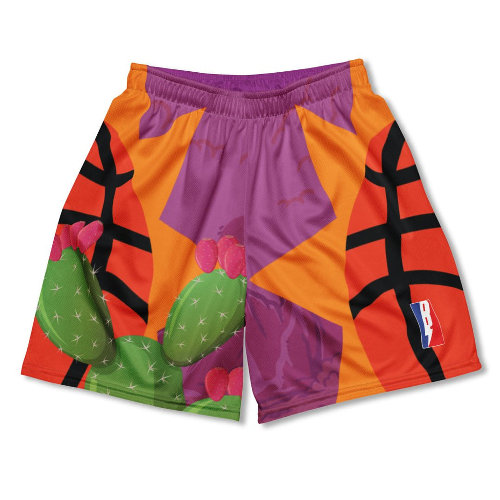 Pheonix Cactus Basketball Mesh Shorts - Sneaker Tees to match Air Jordan Sneakers