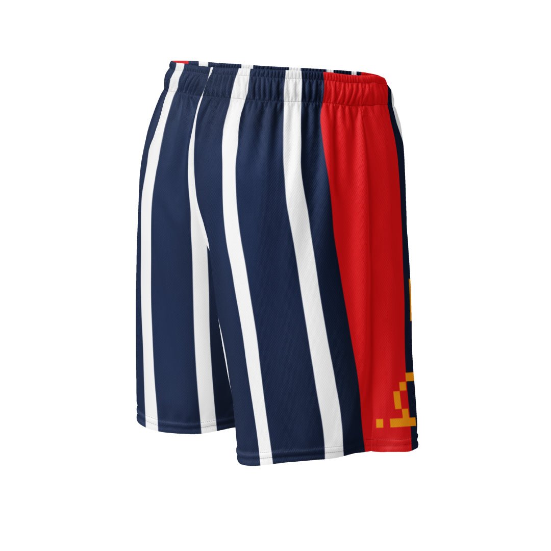 H-Town Rockets Basketball Mesh Shorts - Sneaker Tees to match Air Jordan Sneakers