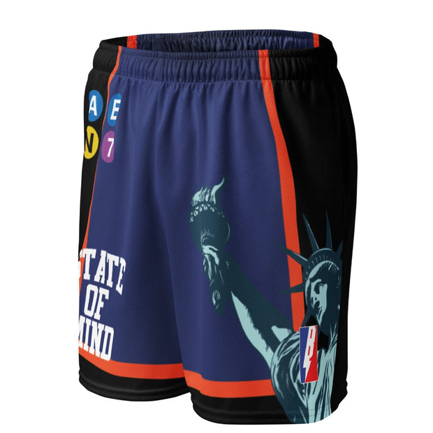 New York State of Mind Basketball Mesh Shorts - Sneaker Tees to match Air Jordan Sneakers
