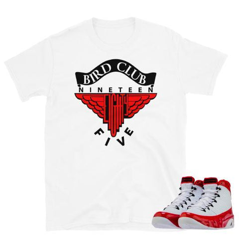 Air Retro 9 "Gym Red" Sneaker tee to match - Sneaker Tees to match Air Jordan Sneakers