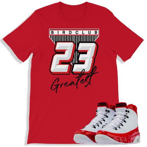 Retro 9 "Gym Red" sneaker shirt to match - Sneaker Tees to match Air Jordan Sneakers