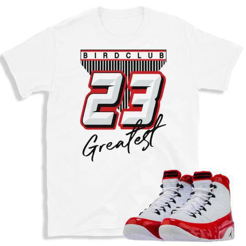 Retro 9 "Gym Red" sneaker shirt - Sneaker Tees to match Air Jordan Sneakers