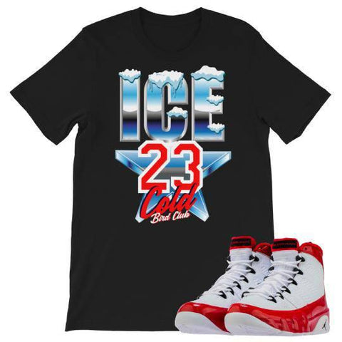Retro 9 "Gym Red" Sneaker Shirt Ice Cold All Star - Sneaker Tees to match Air Jordan Sneakers