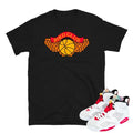 Retro 6 Hare Jordan shirt - Sneaker Tees to match Air Jordan Sneakers