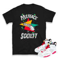 Jordan 6 Hare Sneaker tee - Sneaker Tees to match Air Jordan Sneakers