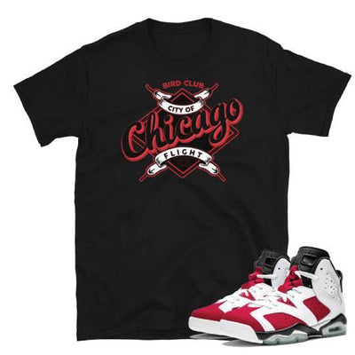 Jordan Carmine 6 Chicago shirt - Sneaker Tees to match Air Jordan Sneakers