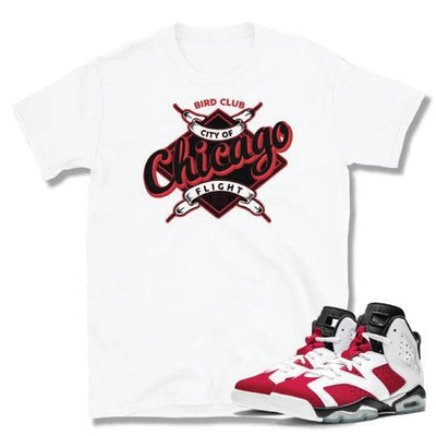 Jordan Carmine shirt - Sneaker Tees to match Air Jordan Sneakers