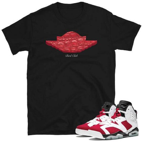 Retro 6 Carmine matching shirt - Sneaker Tees to match Air Jordan Sneakers