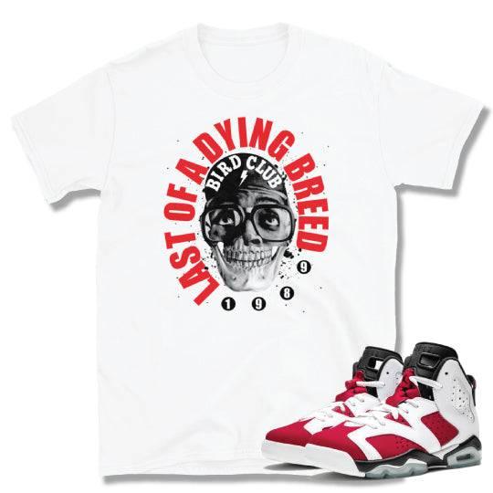Carmine 6 Retro 6 sneaker shirt - Sneaker Tees to match Air Jordan Sneakers
