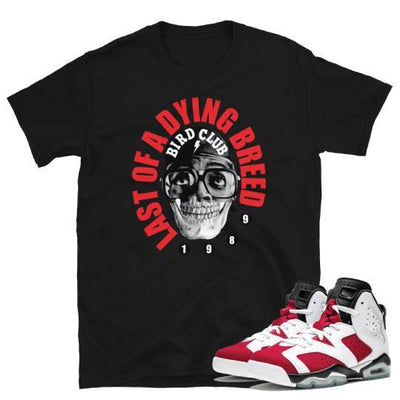 Retro 6 Carmine Sneaker shirt - Sneaker Tees to match Air Jordan Sneakers