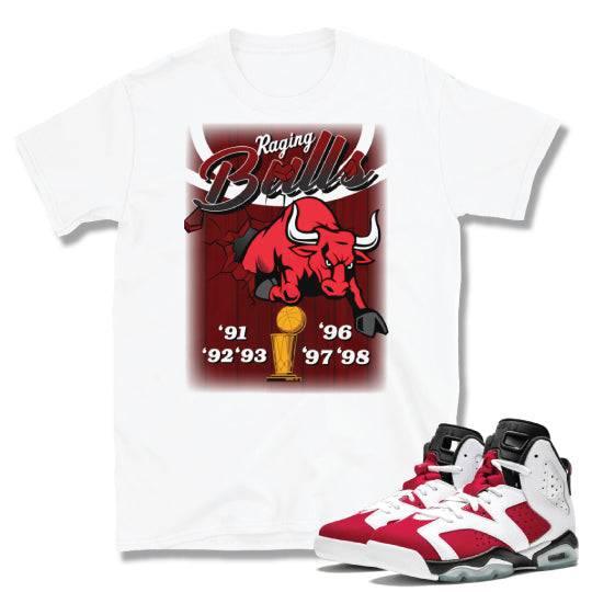 Retro 6 Carmine Sneaker shirt - Sneaker Tees to match Air Jordan Sneakers