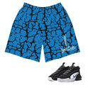 Penny Max 1 Shorts - Sneaker Tees to match Air Jordan Sneakers