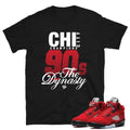 Raging Bulls 5 Shirt - Sneaker Tees to match Air Jordan Sneakers