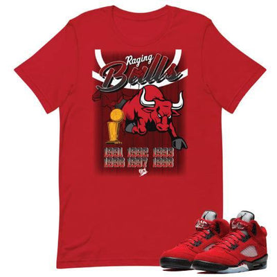 Retro 5 Raging Bulls Shirt - Sneaker Tees to match Air Jordan Sneakers