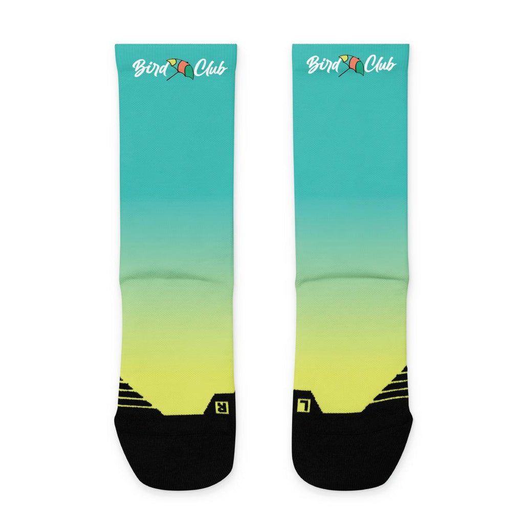 Lebron 9 Lebronold Palmer Socks - Sneaker Tees to match Air Jordan Sneakers